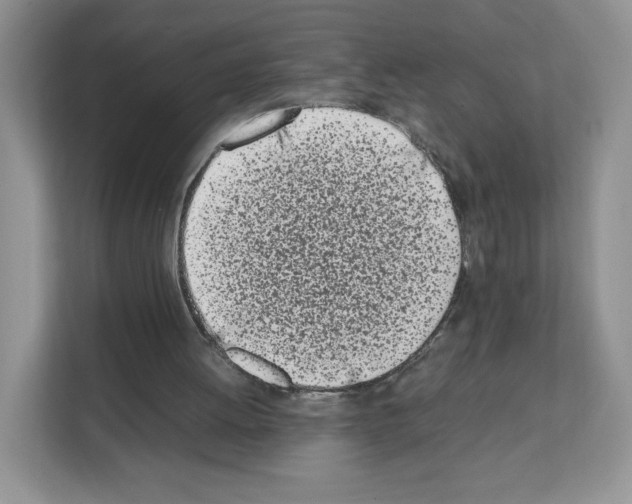 X0000111660052200908281118