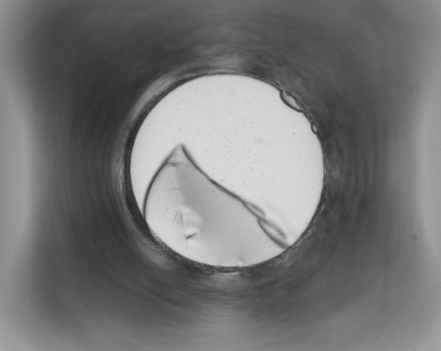 X0000111660054200908281118