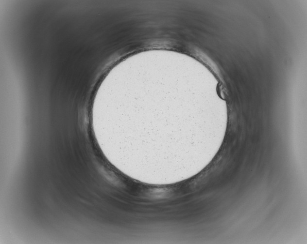 X0000111660059200908281118