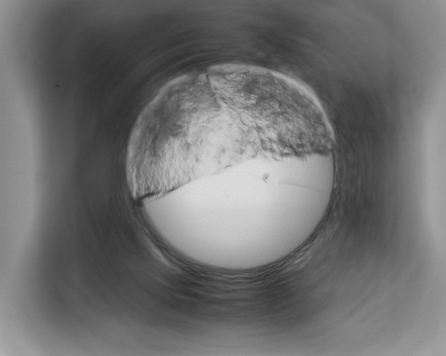 X0000111660061200908281118