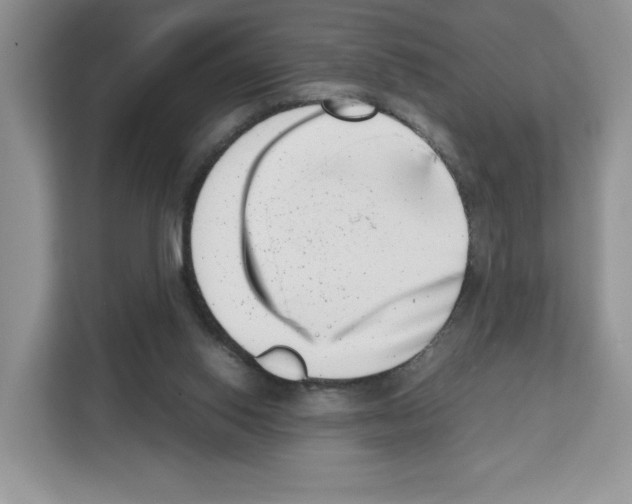 X0000111660062200908281118