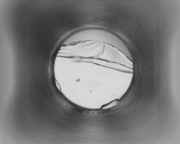 X0000111660064200908281118