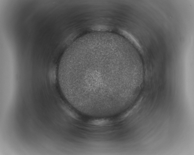 X0000111660065200908281118