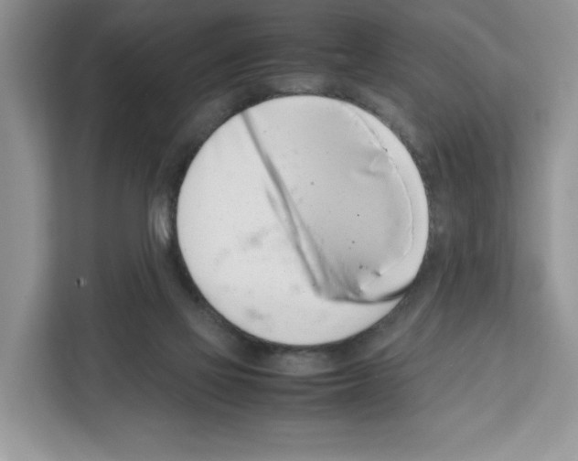 X0000111660069200908281118