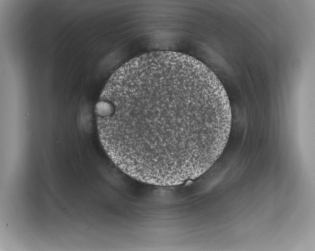 X0000111660080200908281118