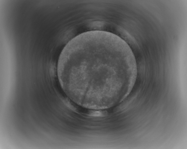 X0000111660083200908281118