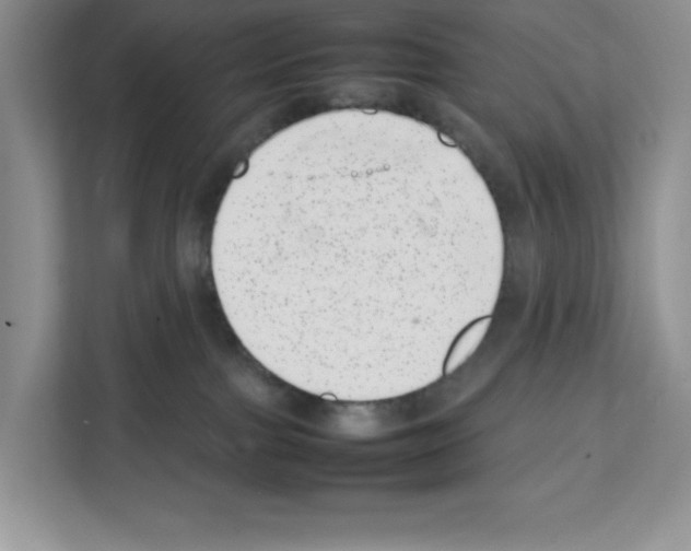 X0000111660091200908281118