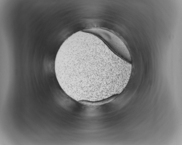 X0000111660096200908281118