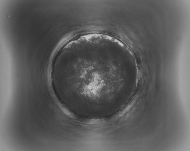 X0000111660101200908281118