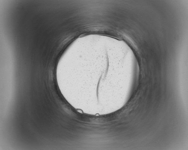 X0000111660105200908281118