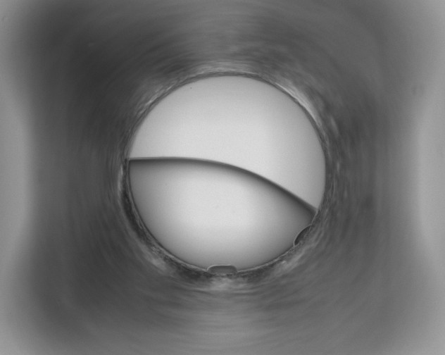 X0000111660109200908281118