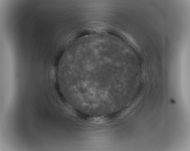 X0000111660121200908281117