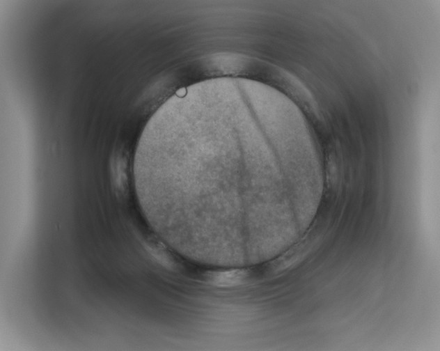 X0000111660122200908281117