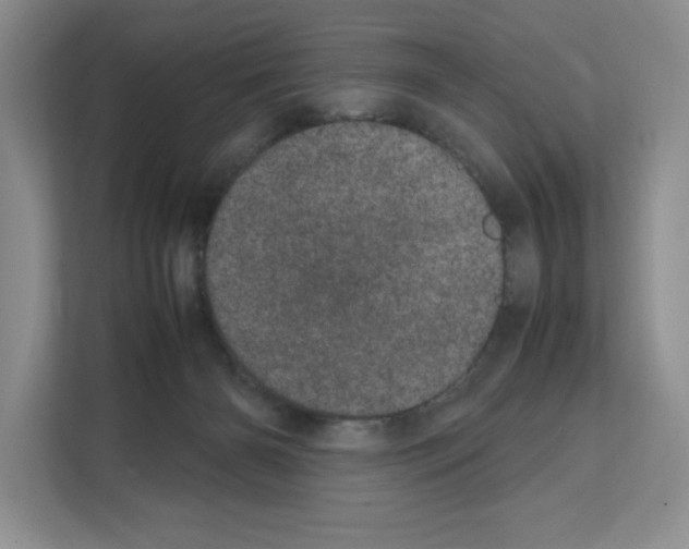 X0000111660126200908281117