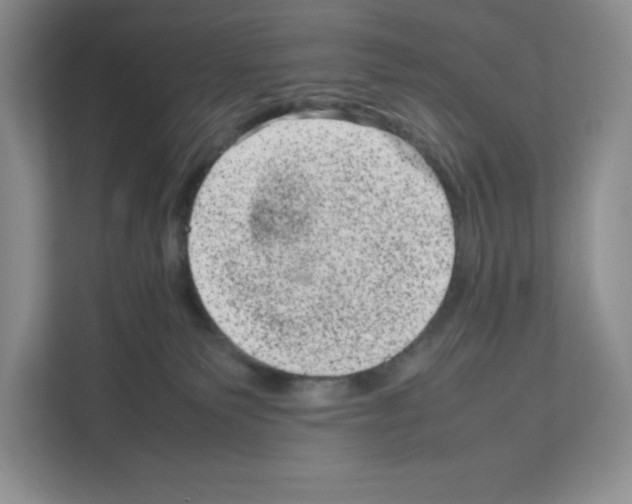 X0000111660135200908281117