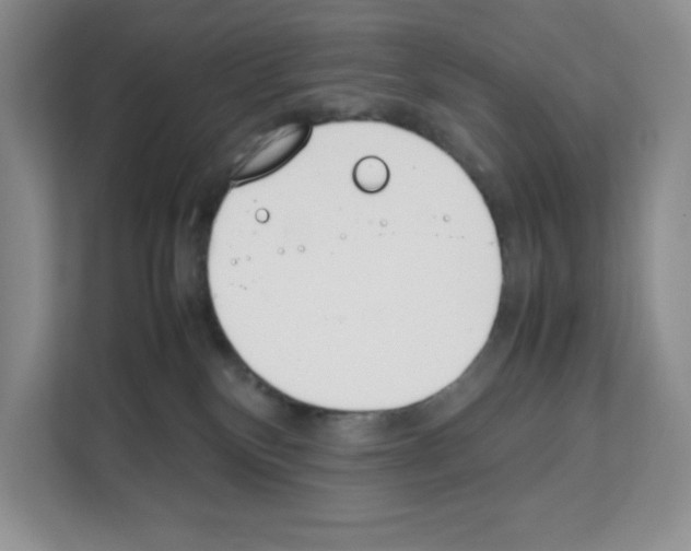 X0000111660136200908281117