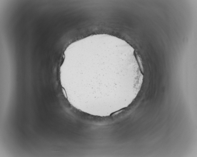 X0000111660144200908281117