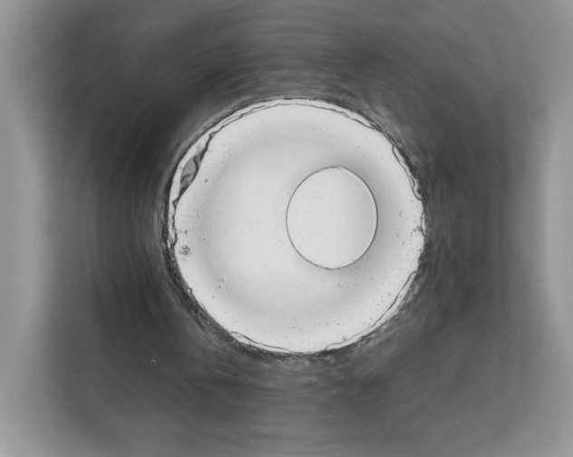 X0000111660146200908281116