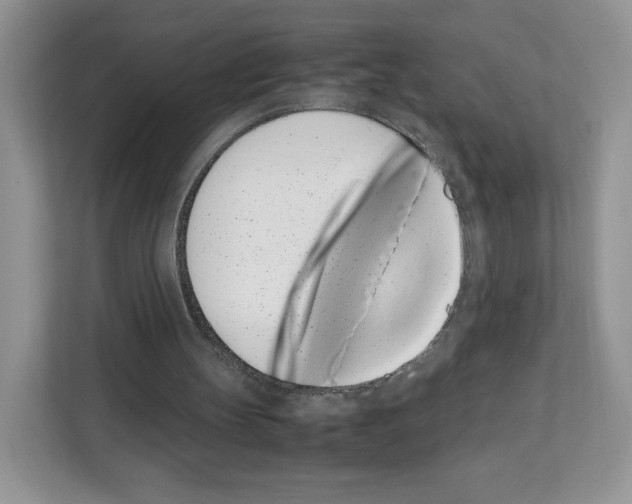 X0000111660147200908281116