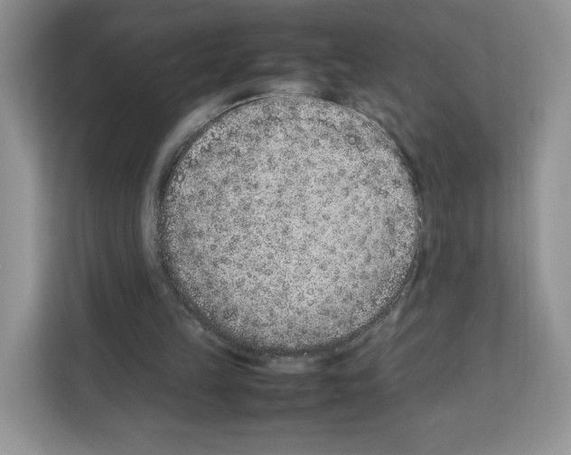 X0000111660149200908281117