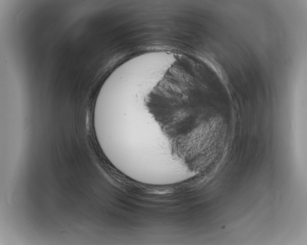 X0000111660157200908281117