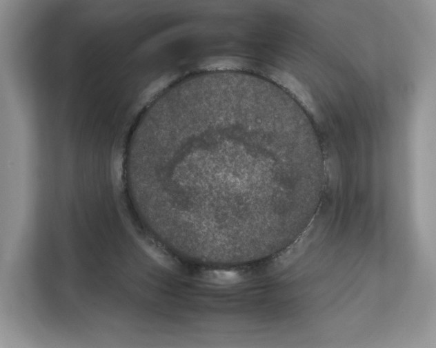 X0000111660159200908281117