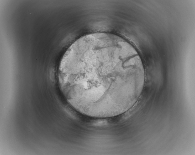 X0000111660162200908281117