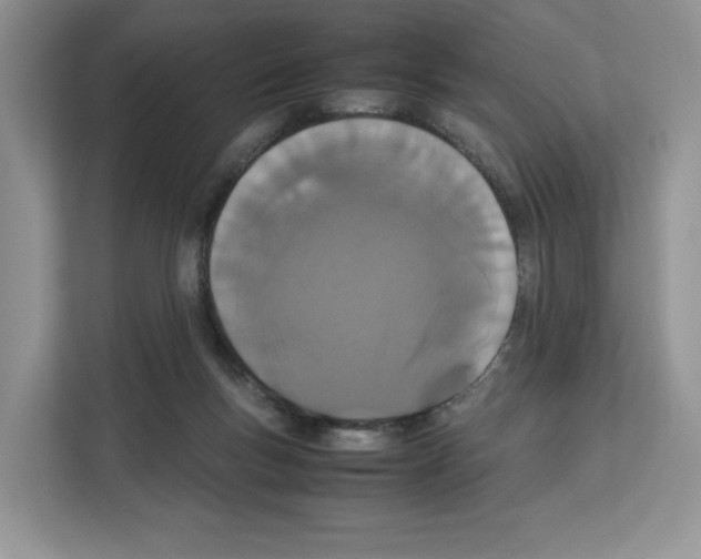 X0000111660167200908281117