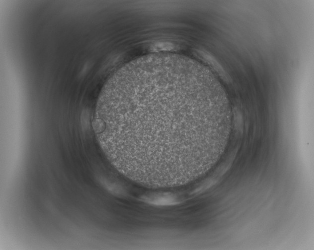 X0000111660169200908281117