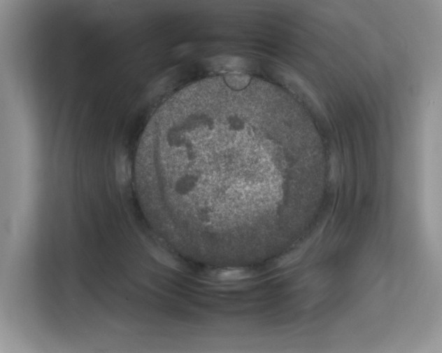 X0000111660173200908281117