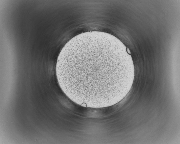 X0000111660174200908281117