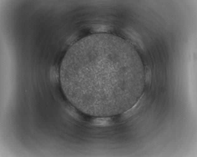 X0000111660179200908281117