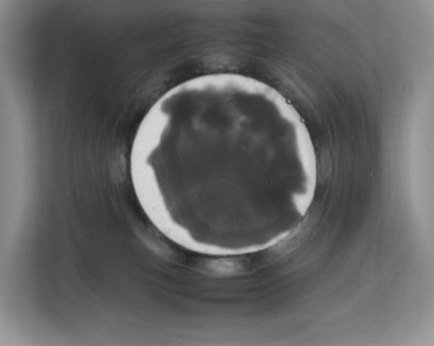 X0000111660183200908281117