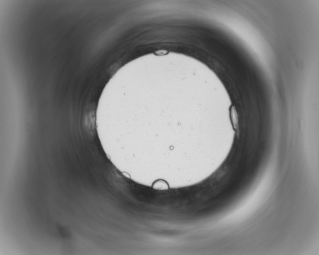 X0000111660190200908281117