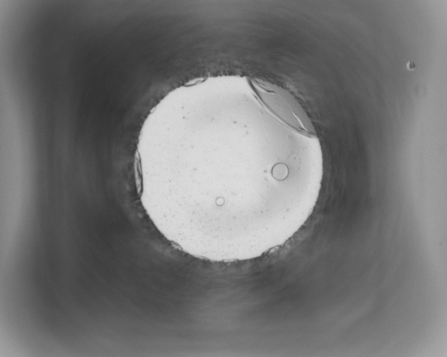 X0000111660192200908281117