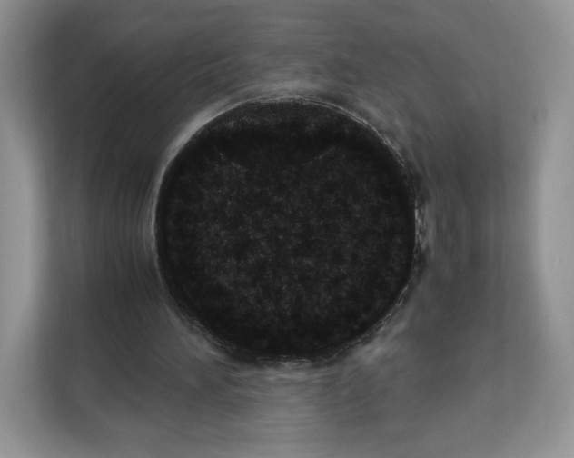 X0000111660196200908281116