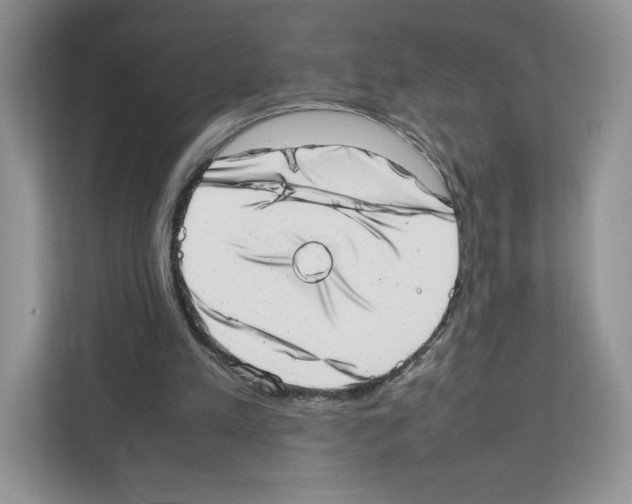 X0000111660197200908281116