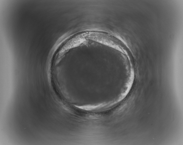 X0000111660199200908281116