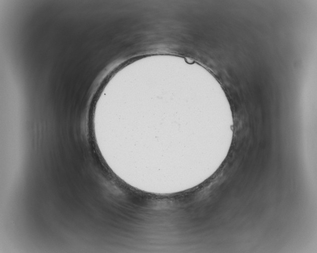 X0000111660200200908281116