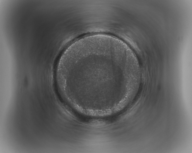 X0000111660207200908281116