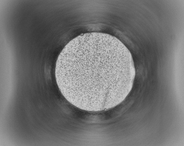 X0000111660209200908281116