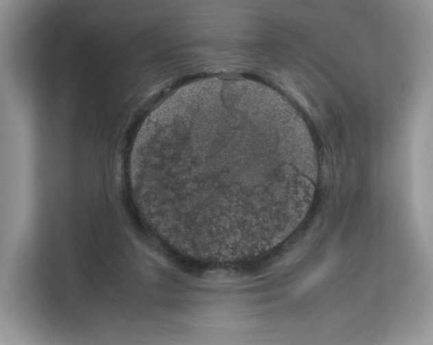 X0000111660211200908281116