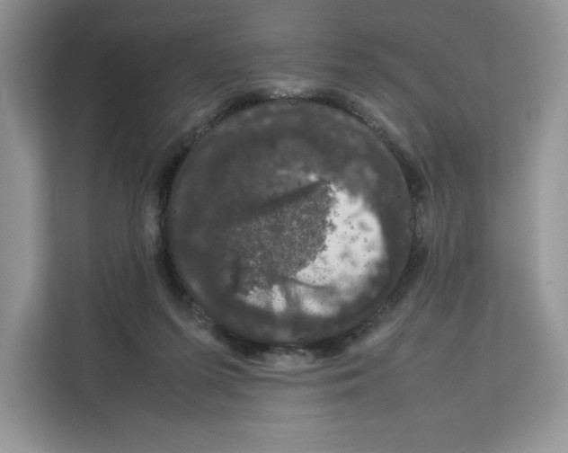 X0000111660215200908281116