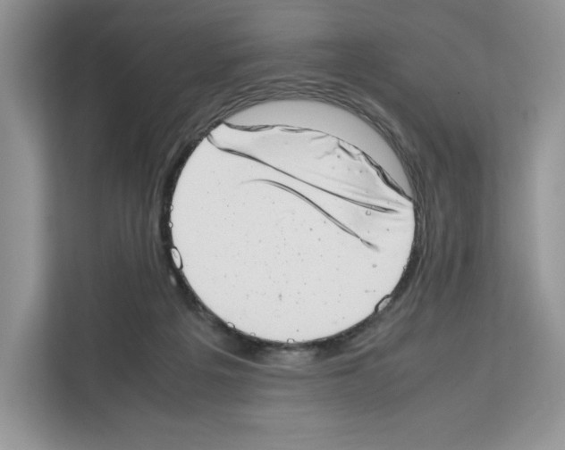 X0000111660217200908281116