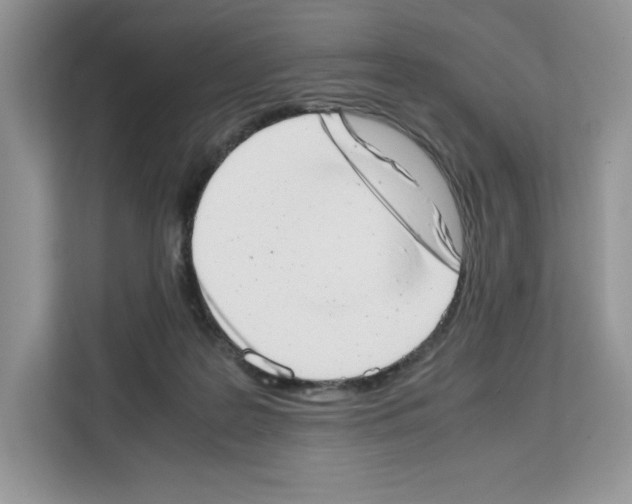 X0000111660219200908281116