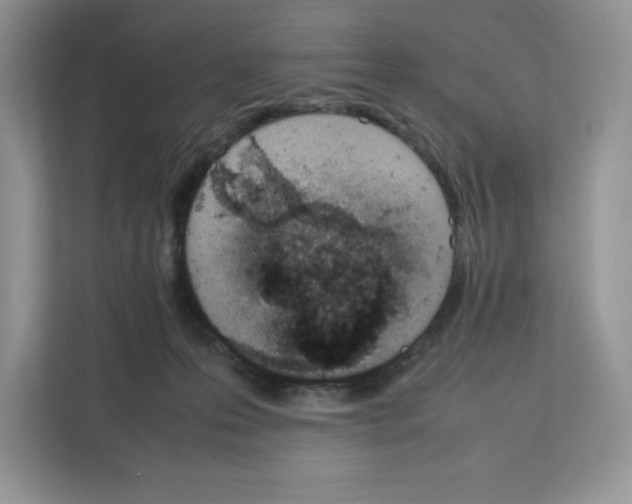 X0000111660223200908281116