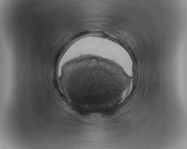 X0000111660227200908281116