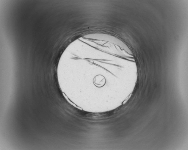 X0000111660229200908281116