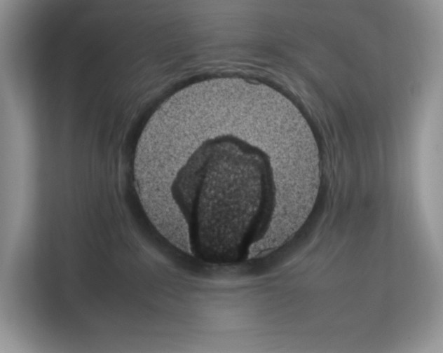 X0000111660235200908281116