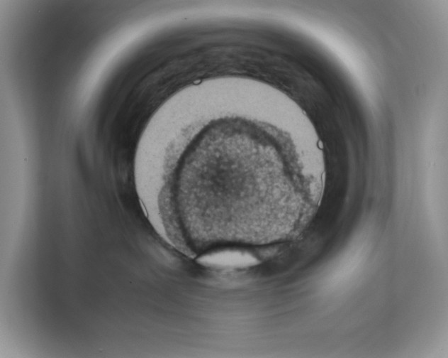 X0000111660239200908281116